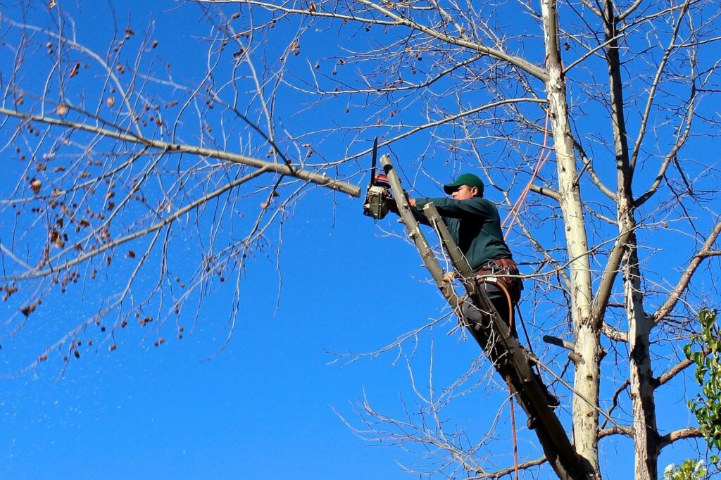 élagage branches